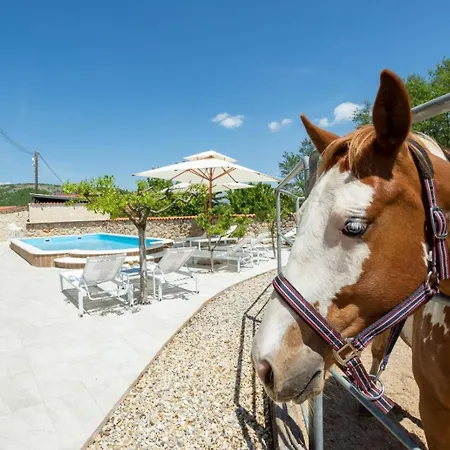 Casa de Férias Family Friendly House With A Swimming Pool Maovice, Zagora - 24726